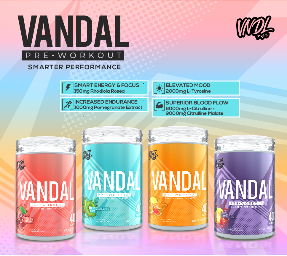 VNDL Project | Vandal | Pre-Workout | 40 Servings