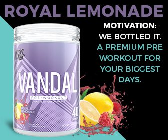 VNDL Project | Vandal | Pre-Workout | 40 Servings