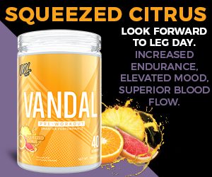 VNDL Project | Vandal | Pre-Workout | 40 Servings