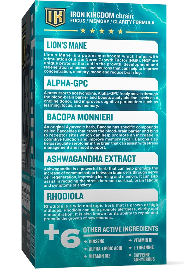 Iron Kingdom | ebrain | 120ct