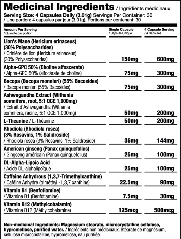 Iron Kingdom | ebrain | 120ct