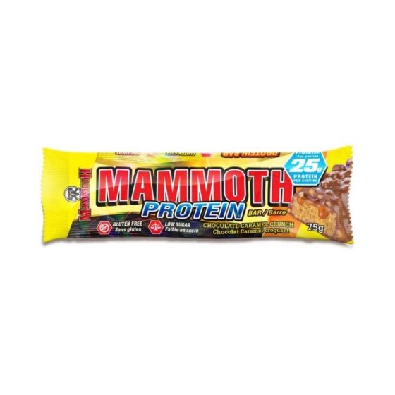 Mammoth | Protein Bar | Single