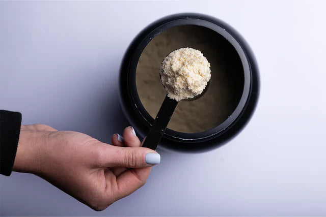 Rule1 | Casein Protein | 4lbs | Chocolate Fudge