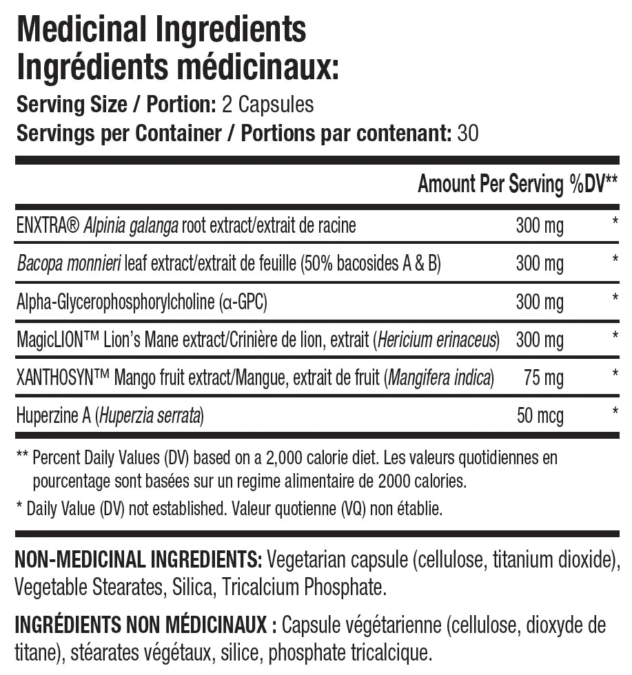 ANS Performance | Neuron | Nootropic Brain Support | 60 Caps